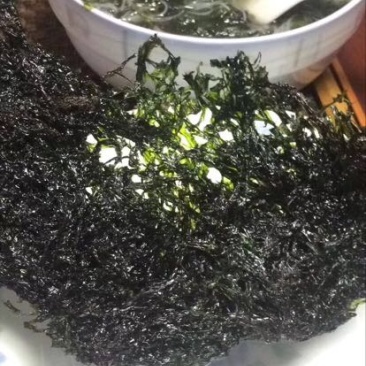 紫菜野生二水