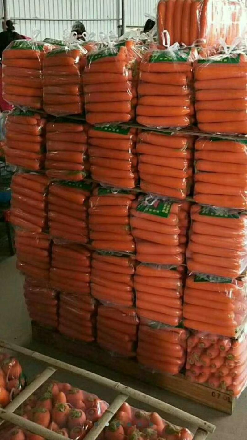 三红胡萝卜大量供出口货，水洗一条龙服务，欢迎骚扰。