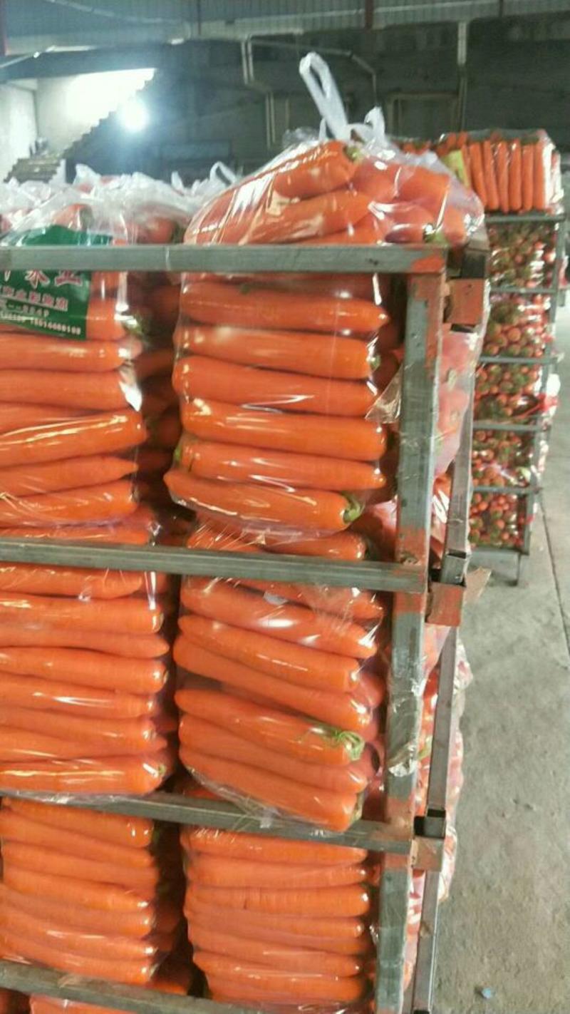 三红胡萝卜大量供出口货，水洗一条龙服务，欢迎骚扰。