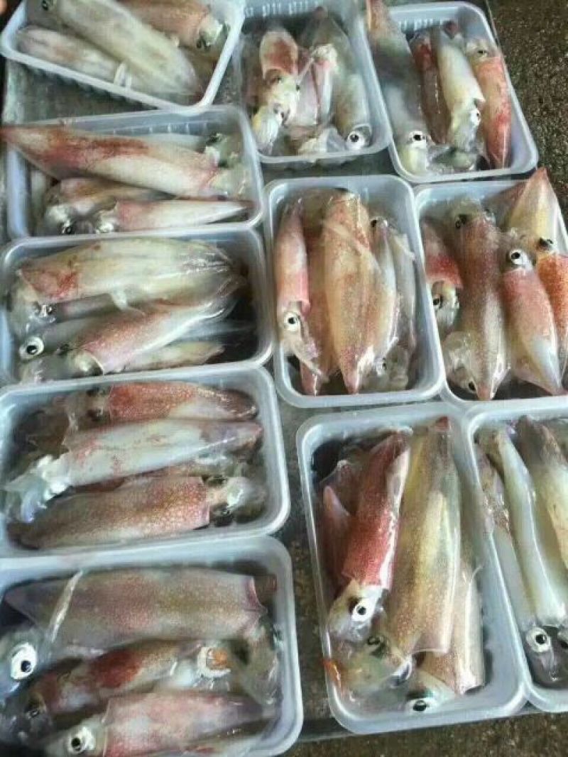 鱿鱼食用冰冻