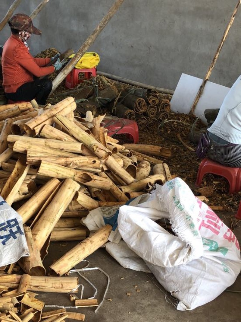 烟仔桂散装一级