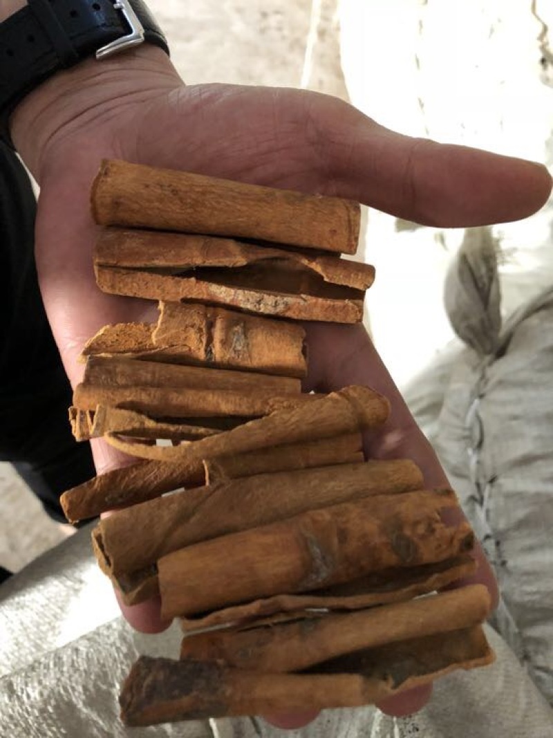 烟仔桂散装一级
