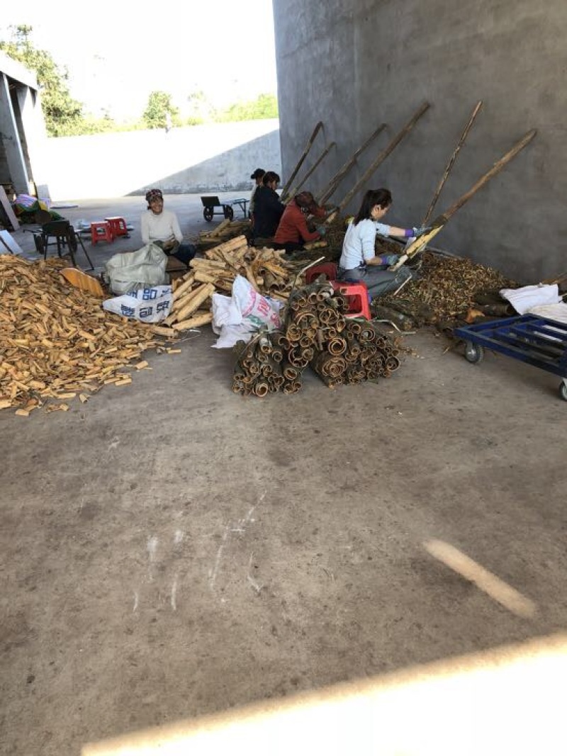烟仔桂散装一级