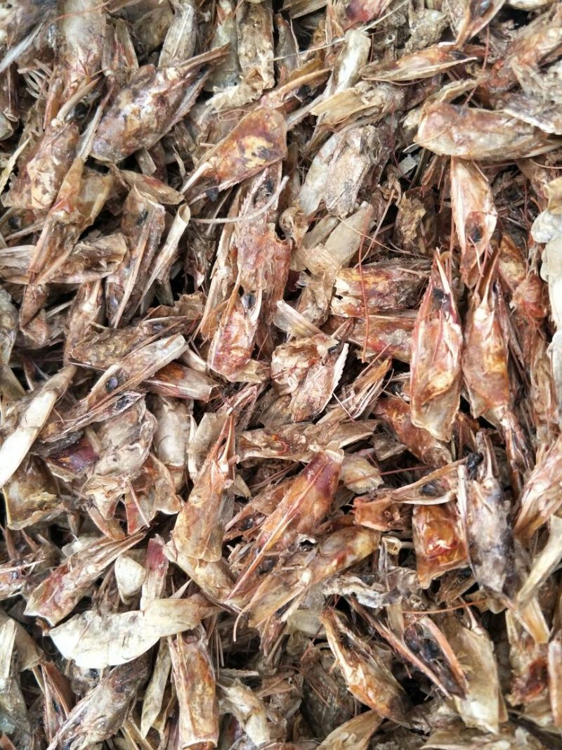 虾尾虾糠虾皮虾粉蛋白43个质优价廉