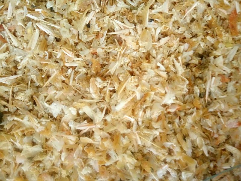 虾尾虾糠虾皮虾粉蛋白43个质优价廉