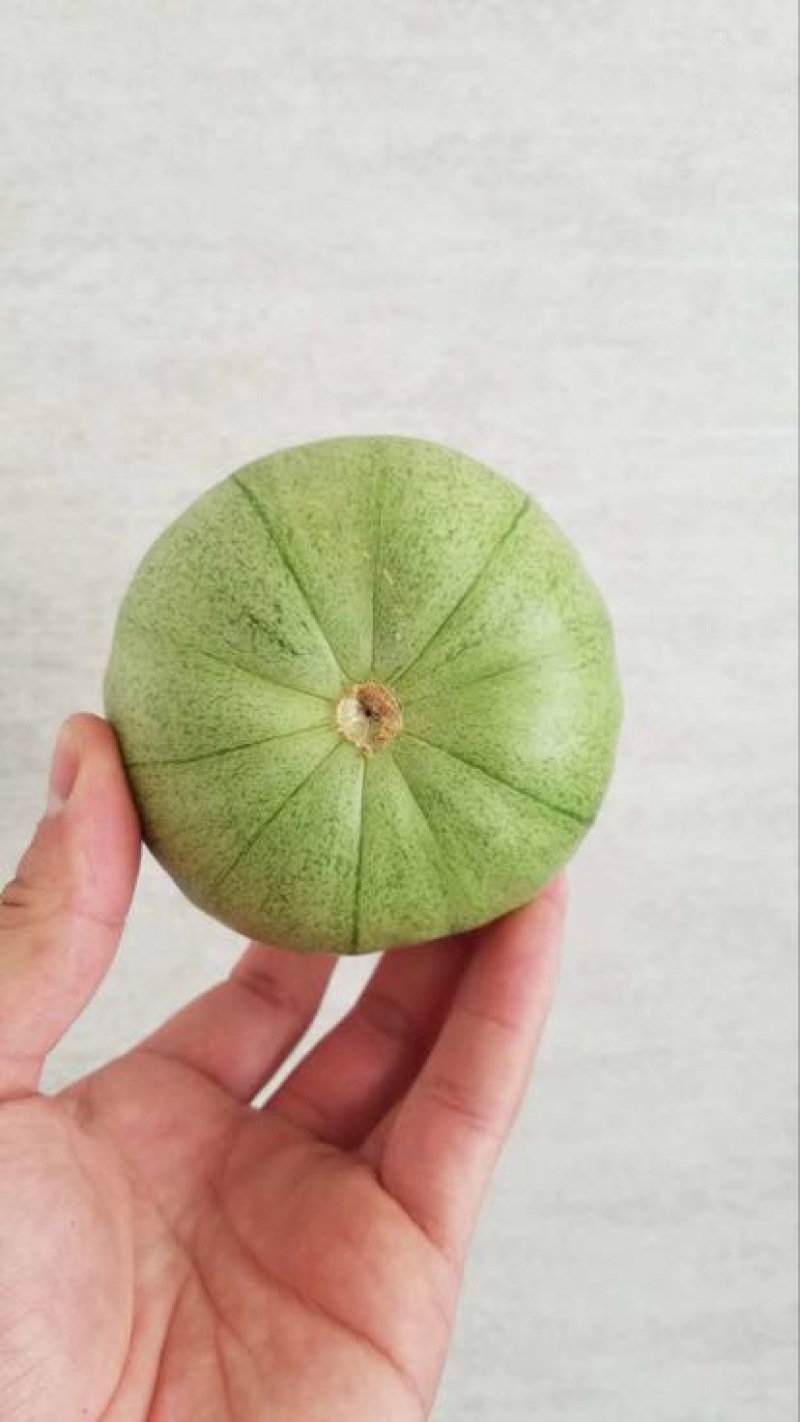 绿宝甜瓜0.8斤以上，精品，量大，质量保证，欢迎合作