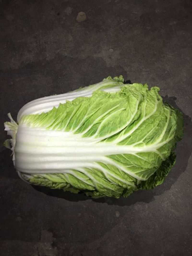 黄心白菜4~6斤净菜