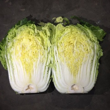 黄心白菜4~6斤净菜