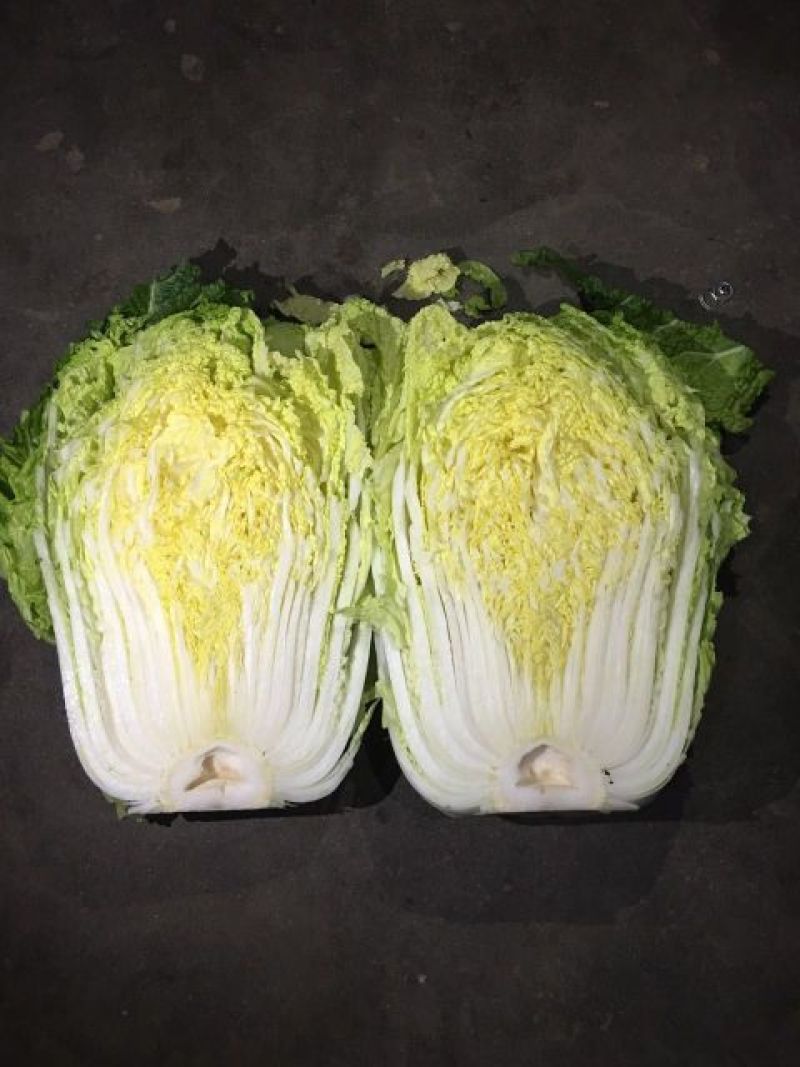 黄心白菜4~6斤净菜