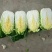 黄心白菜4~6斤净菜