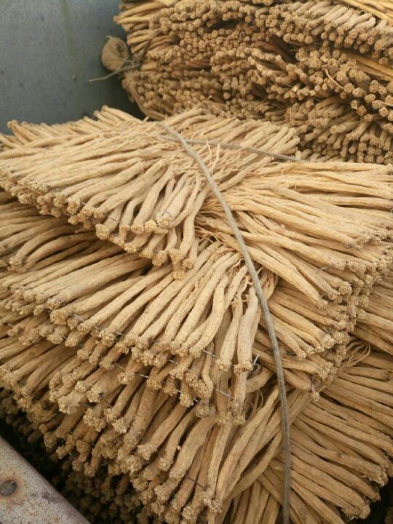 白条党参干货中大条