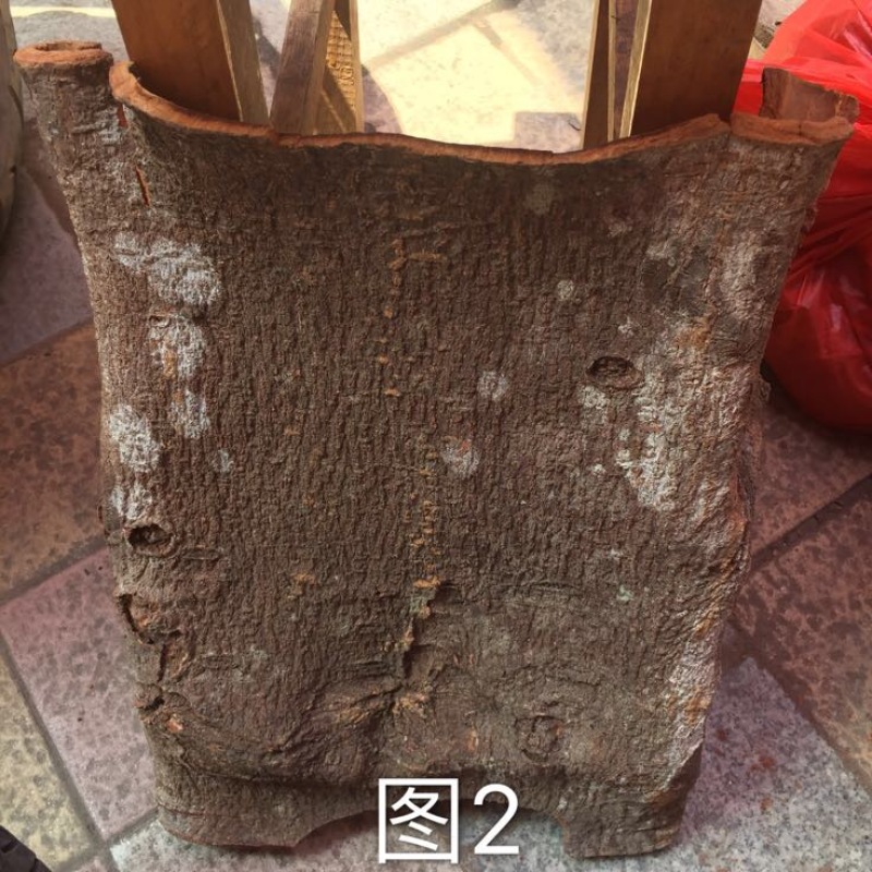 紫油桂散装一级