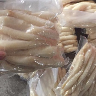 北沙参人工栽培未刮皮统鲜