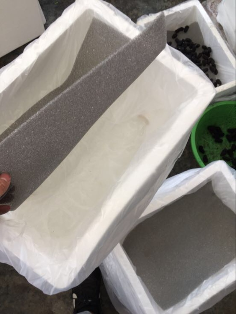 广东桑葚桑果大量代办代发