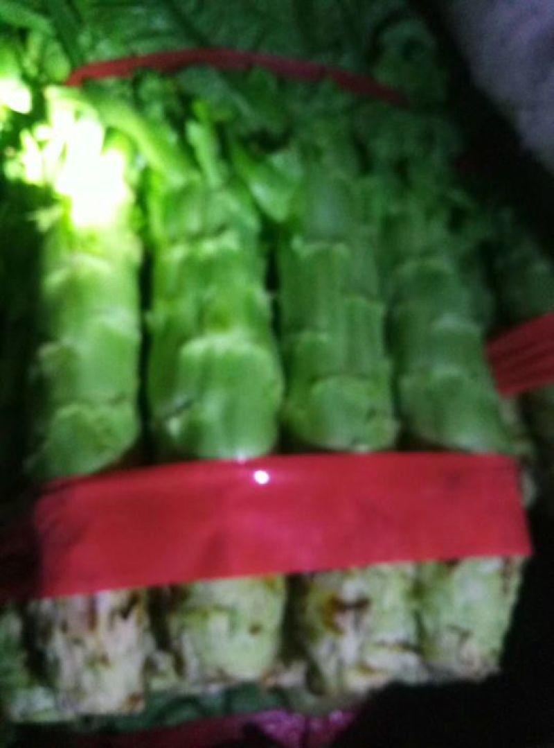 攀枝花莴笋