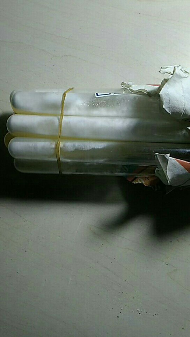 黑皮鸡枞