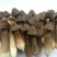 黑皮鸡枞