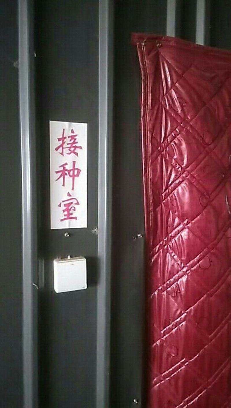 黑皮鸡枞
