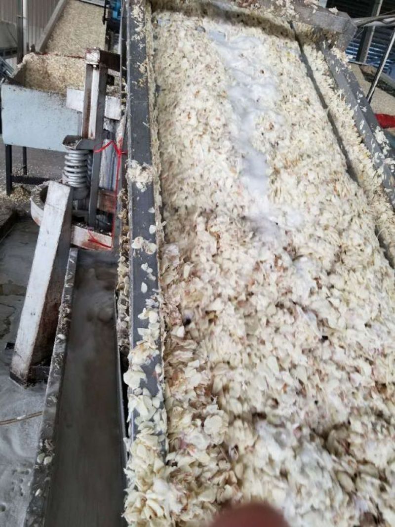 蒜片混级统货干蒜，品质保证，货源充足，欢迎选购