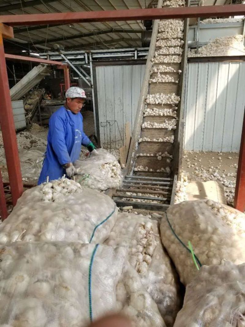 蒜片混级统货干蒜，品质保证，货源充足，欢迎选购