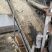 脱水蒜粒5cm干蒜大量出售一手货源需要老板联系我