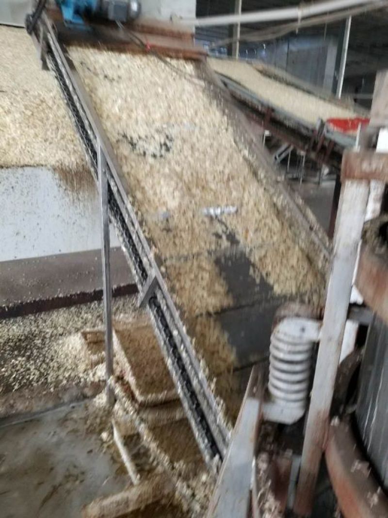 脱水蒜粒5cm干蒜大量出售一手货源需要老板联系我