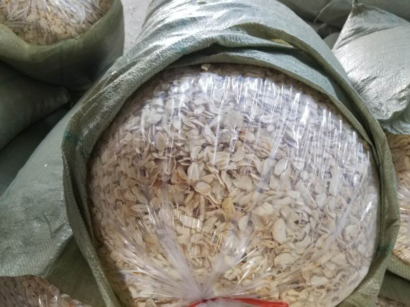 脱水蒜粒5cm干蒜大量出售一手货源需要老板联系我