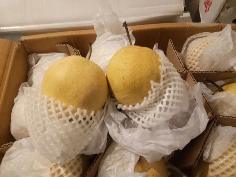 河北鸭梨货源充足价格便宜产地直发一手货源