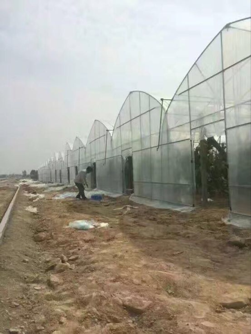 温室大棚镀锌管大棚