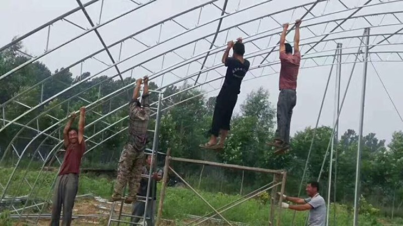 温室大棚镀锌管大棚