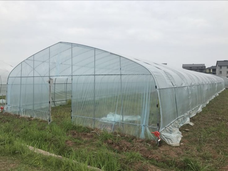 温室大棚镀锌管大棚