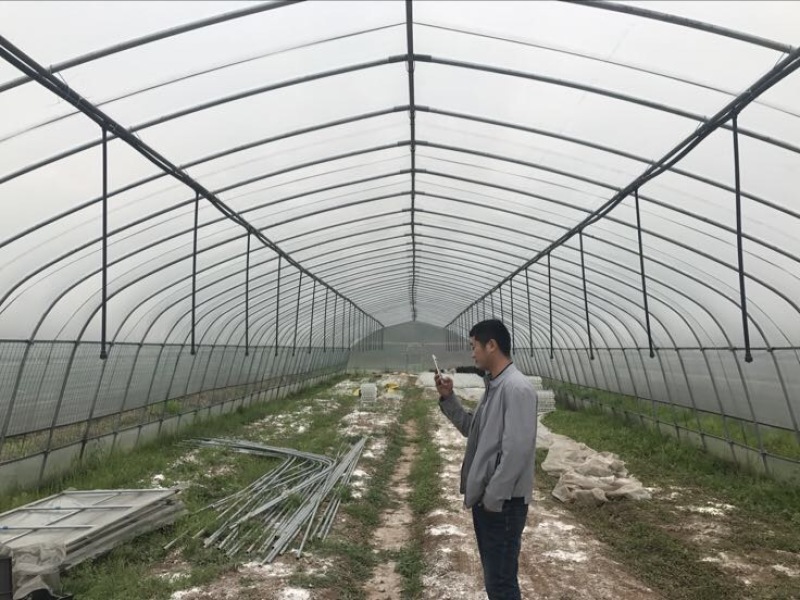 温室大棚镀锌管大棚