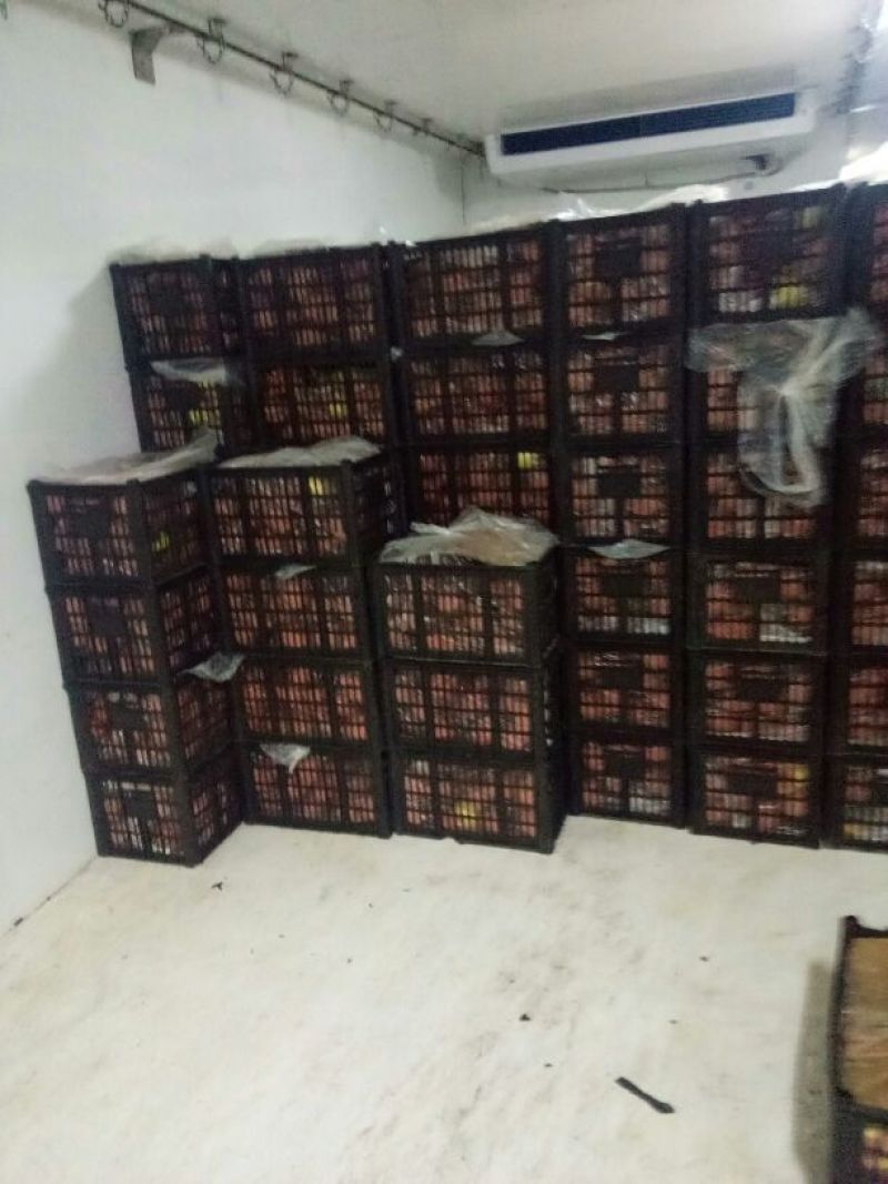 河北雪花梨货源充足价格低保证质量