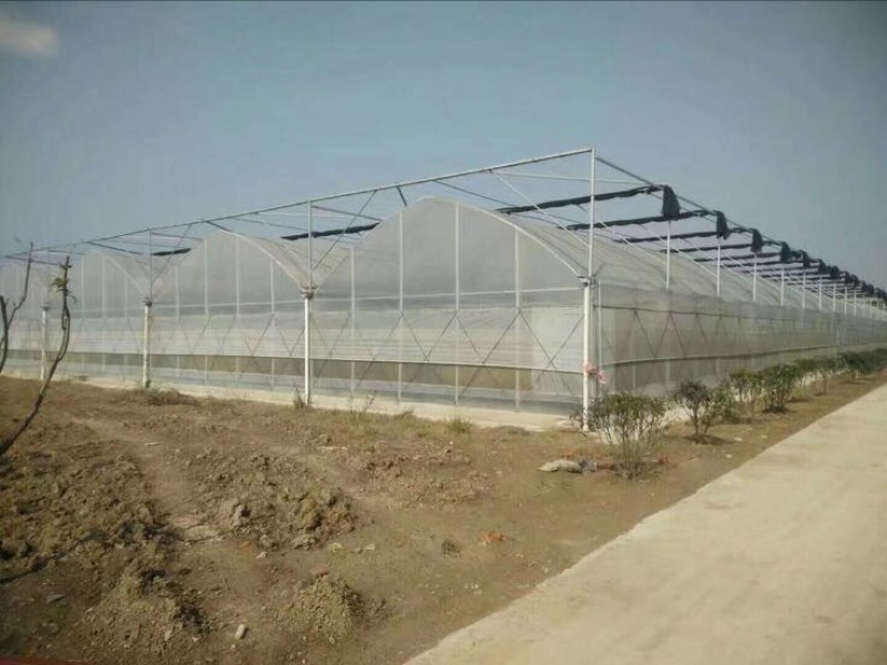 温室大棚镀锌管大棚