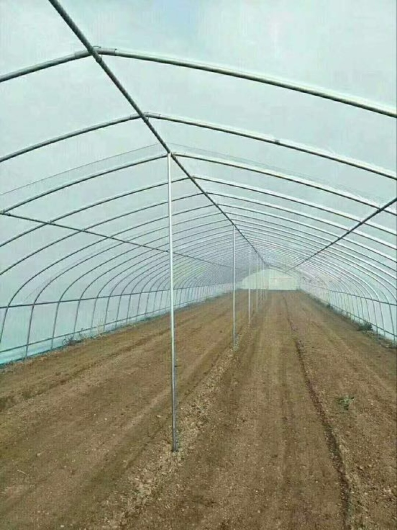 温室大棚镀锌管大棚