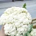 白面青梗松花菜2~3斤散花乳白