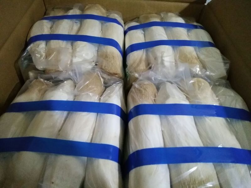 杏鲍菇特级