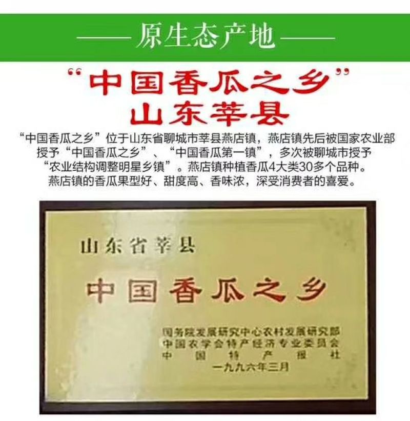 花蕾甜瓜1斤以上精品