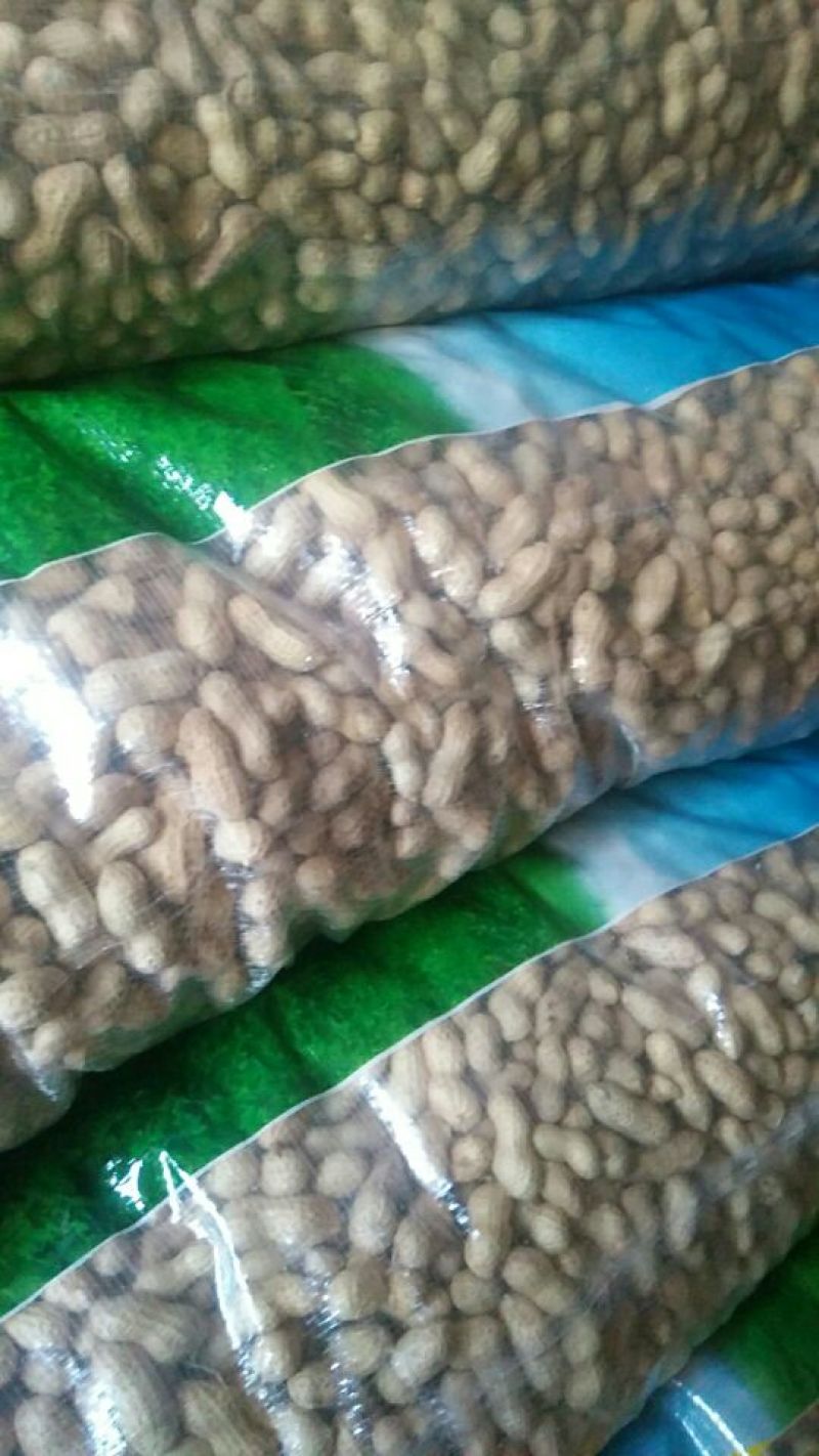 花生干货带壳精选花生果食品厂高端货