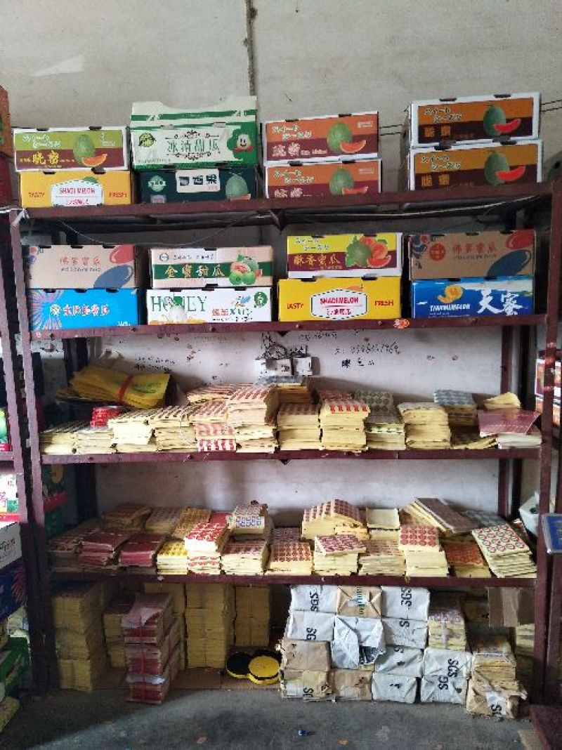博洋61甜瓜精品香瓜哈密瓜甜瓜基地，产地直销