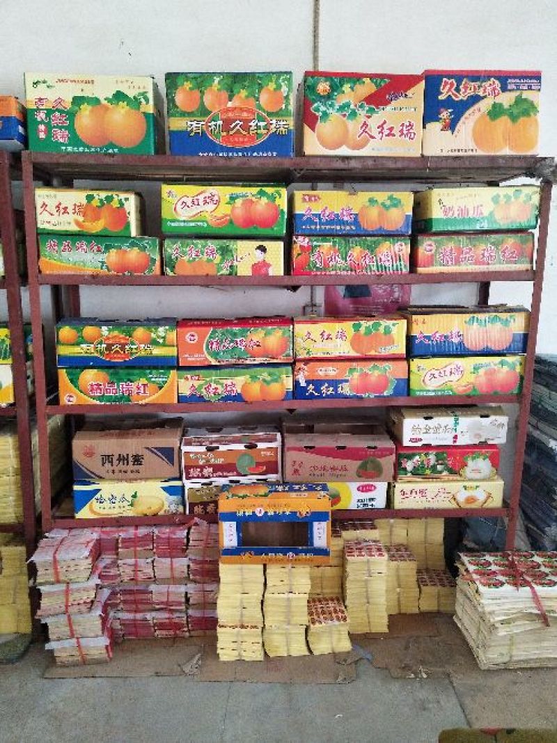 博洋61甜瓜精品香瓜哈密瓜甜瓜基地，产地直销