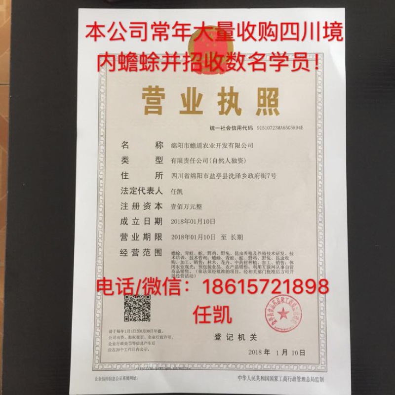 蟾蜍养殖技术培训蟾衣收购