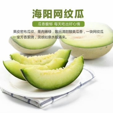 网纹瓜两箱起售