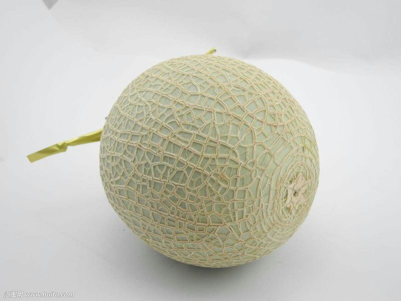 网纹瓜两箱起售