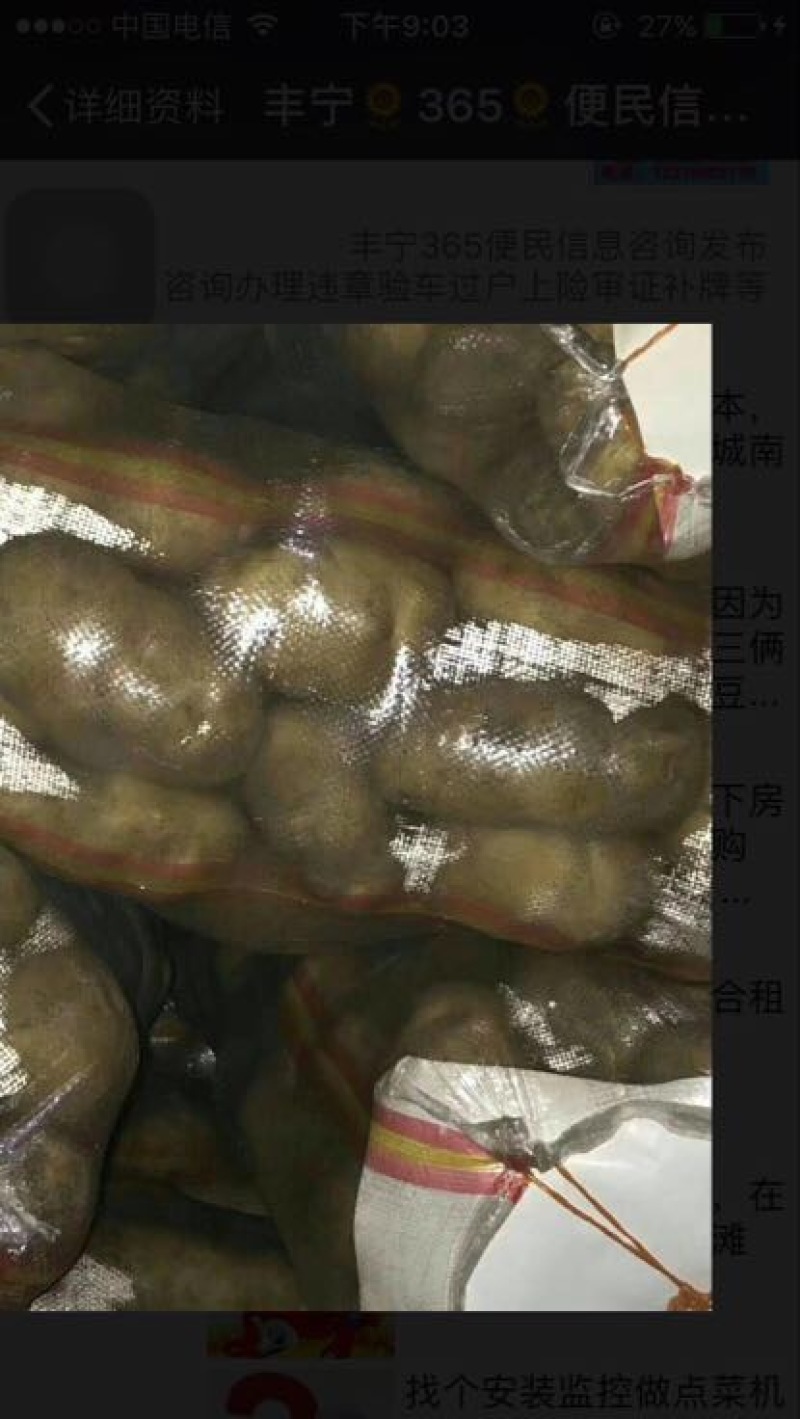 荷兰十五土豆精品3两以上