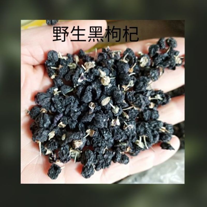 黑枸杞干货头茬