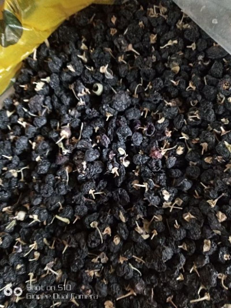 黑枸杞干货头茬