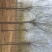 垂柳16~18cm12~14cm3.5~4米