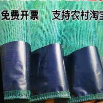 渔网