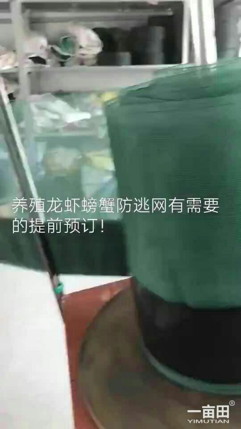渔网